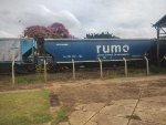 RUMO HTT-845235-1